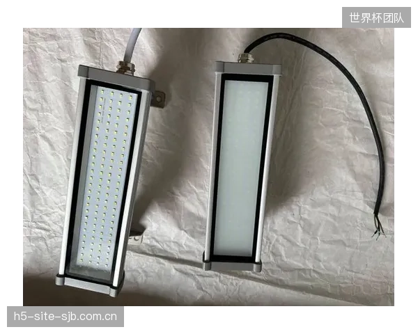 技术突破：主流供应商已将大功率LED投光灯的光谱稳定寿命提升至102,000小时以上，大幅降低了全生命周期成本